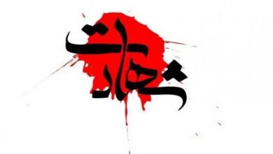 شهادت دانشجوی دانشگاه تهران به همراه همسر و سه فرزندش