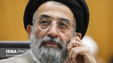 موسوی لاری: رئیس جمهور باید دقت بیشتری در پیشبرد امور اتخاذ کند/ دولت در زمینه پیشبرد مذاکرات تاکنون بسیار خوب پیش رفته/ نقطه قوت پزشکیان چیست؟