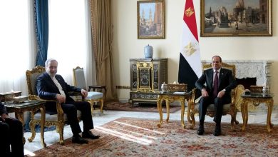 عراقچی با رئیس جمهور مصر دیدار کرد/عکس
