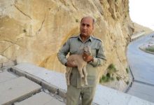 قاتل محیط‌بان بهبهانی دستگیر شد