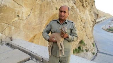 قاتل محیط‌بان بهبهانی دستگیر شد