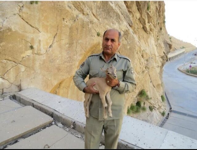 قاتل محیطبان بهبهانی دستگیر شد