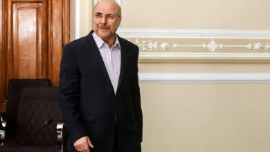 زارعی، نماینده مجلس می‌گوید خط قرمز دو گروه «شریان» و «امنا» در انتخابات مجلس، برخورداری از «روحیه جنگندگی در برابر قالیباف» بود