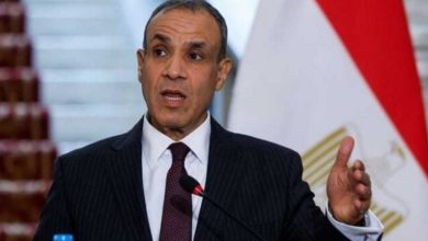 وزیر خارجه مصر: باید پرونده ایران از طریق راهکار‌های سیاسی حل و فصل شود، نه نظامی/ تهدید‌های اسرائیل علیه تهران را رد می‌کنیم