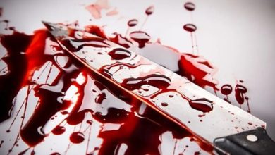 اختلاف دوستانه دخترها مرگبار شد؛ جزئیات قتل یک پدر به دست ۶ دختر نوجوان/ حضور آمبولانس بعد از ۵۰ دقیقه