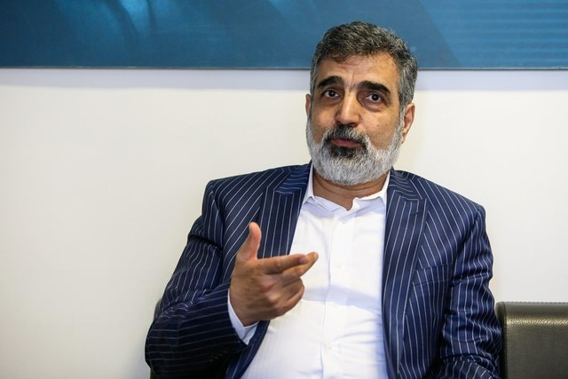 سخنگوی سازمان انرژی اتمی: اگر آژانس قدردان همکاری ما نباشد، همکاریها را بهسطح عادی میرسانیم
