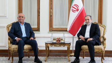 عراقچی: ایران به حمایت همه‌جانبه از مردم و مقاومت فلسطین ادامه می‌دهد