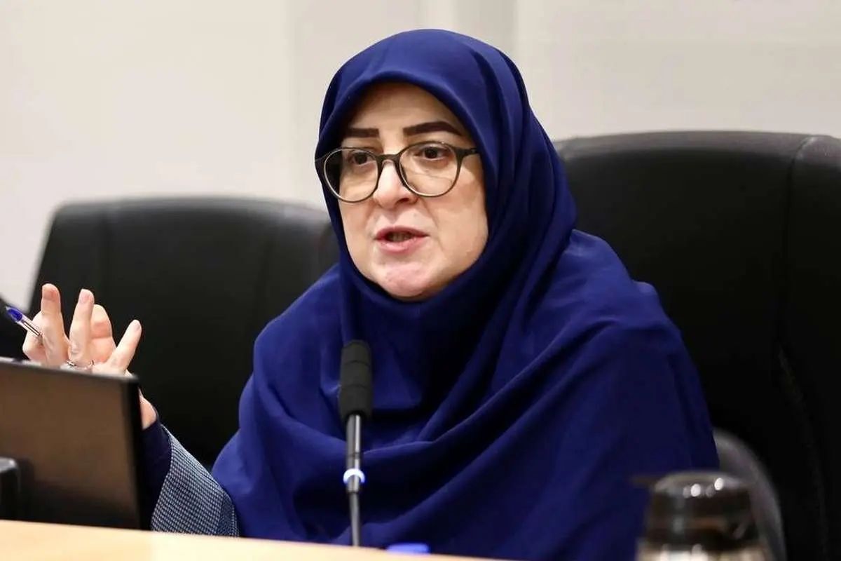 سخنگوی دولت: حجم و عمق اطلاعاتی که از اسرائیل به دست آمده بسیار بالاست؛ بخشی از این موارد در اختیار رسانه‌ها قرار می‌گیرد
