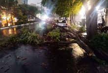 مدیریت بحران: طوفان شدید با سرعت ۸۰ کیلومتر در ساعت، کمتر از یک ساعت دیگر به پایتخت می‌رسد