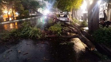 مدیریت بحران: طوفان شدید با سرعت ۸۰ کیلومتر در ساعت، کمتر از یک ساعت دیگر به پایتخت می‌رسد