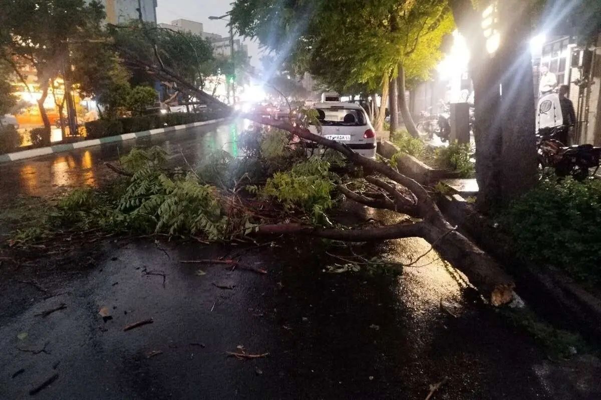 مدیریت بحران: طوفان شدید با سرعت ۸۰ کیلومتر در ساعت، کمتر از یک ساعت دیگر به پایتخت میرسد