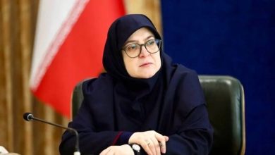 کنترل بسیاری از پهپادهای دشمن از طریق اینترنت است/ اگر مجبور شویم اینترت ملی میشود