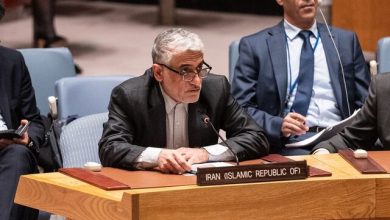 ایروانی: بی‌عملی شورای امنیت در قبال جنایات اسرائیل، خیانت به اصول منشور ملل متحد است