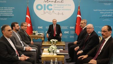 دیدار عراقچی با اردوغان