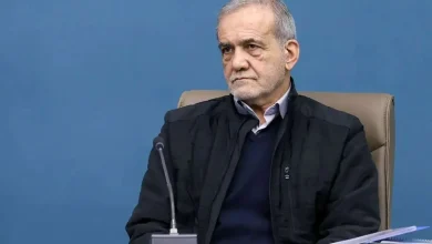 درخواست پزشکیان از علی اف؛ شایعات درباره ریزپرنده‌ها را راستی آزمایی کنید