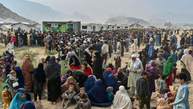 مشاور وزیر کشور: افزون بر ۷۷۲ هزار مهاجر غیرمجاز افغان به کشورشان بازگشتند