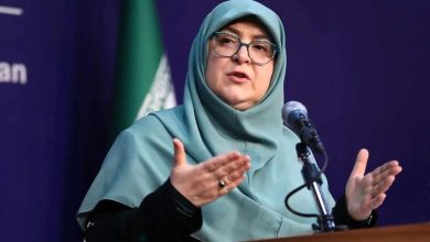 ادعای سخنگوی دولت درمورد لایحه صیانت: هیچ مانعی برای آزادی بیان نیست / هدف از این لایحه حفظ آرامش روانی مردم و دسترسی آزاد به اطلاعات است