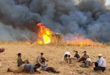 محیط‌زیست: مهار آتش‌سوزی در تالاب گروس مهاباد