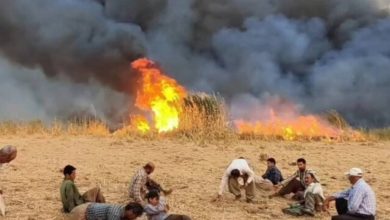 محیط‌زیست: مهار آتش‌سوزی در تالاب گروس مهاباد