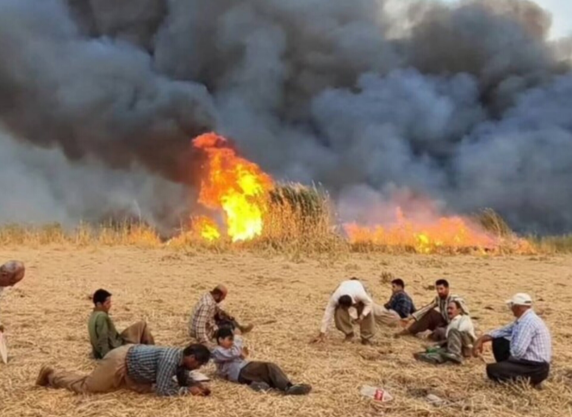 محیطزیست: مهار آتشسوزی در تالاب گروس مهاباد
