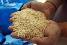 قیمت برنج به شدت تغییر کرد/ کنگری: کاسیان از این قیمت بالاتر برنج بفروشند، جریمه می‌شوند