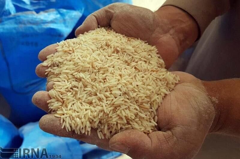 قیمت برنج به شدت تغییر کرد/ کنگری: کاسیان از این قیمت بالاتر برنج بفروشند، جریمه میشوند