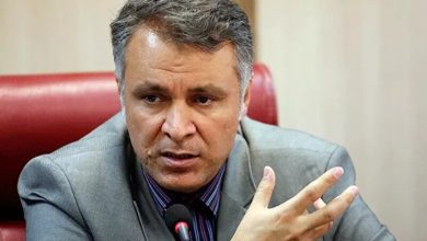 فایده انتخاب پزشکیان به عنوان رئیس جمهور از نگاه فاضلی