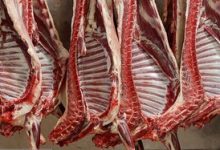 گوشت قرمز کیلویی چند؟/ جدول قیمت