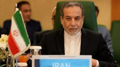 عراقچی با انتشار این تصویر نوشت:با تو می‌شود دل به دریا زد