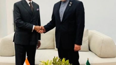 دیدار عراقچی با وزیرخارجه هند