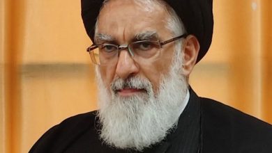نماینده خبرگان: می‌توان برای بازدارندگی تا ۹۰درصد غنی‌سازی کرد/ می‌شود از محموله‌های دشمن در تنگه هرمز غرامت گرفت/ پیشنهاد بازرسی کشتی‌ها در تنگه هرمز