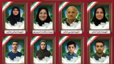 میهمان ویژه نشست خبری سخنگوی وزارت خارجه با عروسک شهید خردسال آمد/اظهارات تکان‌دهنده از نحوه شهادت خانواده شهید صابر/عکس