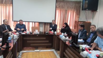 نشست هم اندیشی نمایندگان کارگران ساختمانی ۳۱ استان کشور درباره وحدت رویه در شیوه نامه بیمه این کارگران