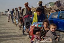استاندار البرز: امسال ۳۰ تا ۴۰ هزار تبعۀ خارجی به‌صورت داوطلبانه از استان خارج شده‌اند