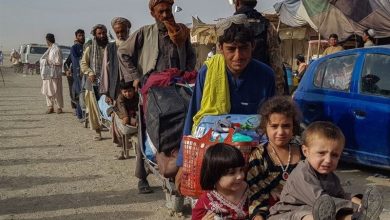 استاندار البرز: امسال ۳۰ تا ۴۰ هزار تبعۀ خارجی به‌صورت داوطلبانه از استان خارج شده‌اند