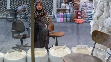 انفجار قیمت برنج؛ چهار پرده از جنجال تابستانی در بازار