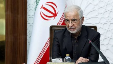 توضیحات وزیر کشور درباره آخرین وضعیت خروج اتباع غیرمجاز: دیگر برای ایران بیش از این امکان پذیرش مهمان وجود ندارد/ هر کشوری دارای مقررات خاص خودش است/ در مرحله کنونی، موضوع اصلی ما اتباع غیرمجاز هستند