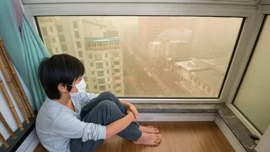 ۵ راهکار ساده برای کاهش تاثیر گرد و غبار و آلودگی هوا بر سلامتی