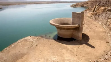 نماینده مجلس: کم آبی یک روزه به وجود نیامده که یک روزه وزارت نیرو برطرفش کند