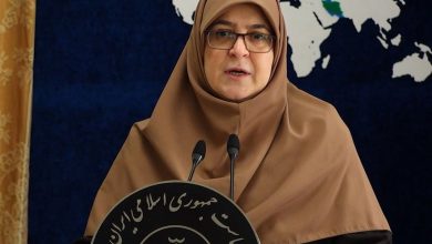 سخنگوی دولت: در دولت پیشنهادی مطرح شده که به علت پشت سر گذاشتن جنگ ۱۲ روزه، یک هفته را تعطیلات تابستانه اعلام کنیم/ نتیجه این موضوع روز چهارشنبه اعلام می‌شود
