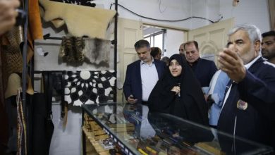 بازديد معاون رئیس جمهور از خانه کارگر ساوه