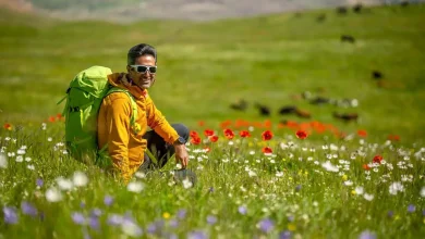 افزایش حمایت از جواد قارایی پس از تهدیدات؛ دنبال‌کنندگان کارگردان "ایرانگرد" از ۷۴۰ هزار نفر گذشت