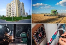 رشد سهم بخش خدمات در تسهیلات پرداختی بانک ملی ایران طی سه‌ماهه نخست ۱۴۰۴