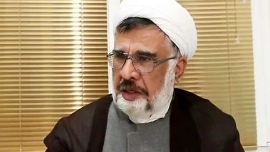 فاضل‌میبدی: به خاطر تندروی‌ها روز بروز بر تعداد مخالفین افزودیم