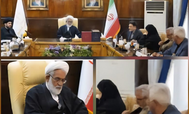 دهقان کیا مطالبات بازنشستگان تامین اجتماعی را به رئیس دیوان عالی کشور بازگو کرد/حقوق ها یک سوم سبد معیشت خانوار است