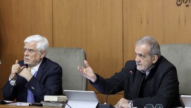 بازنشستگان تامين اجتماعي روي صحنه هفته دولت/ دهقان كيا: معيشت و درمان را جدي بگيريد