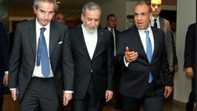 تماس تلفنی وزیر خارجه مصر با عراقچی و مدیرکل آژانس بین‌المللی انرژی اتمی / عبدالعاطی در گفت‌وگو با همتای ایرانی خود بر اهمیت پایبندی به مسیرهای دیپلماتیک و تعامل مجدد با آژانس تأکید کرد