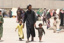 به‌کارگیری اتباع غیرمجاز در پردیس ۵ برابر دستمزد روزانه جریمه دارد