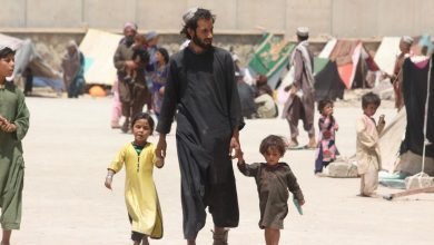 به‌کارگیری اتباع غیرمجاز در پردیس ۵ برابر دستمزد روزانه جریمه دارد