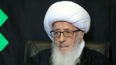 وضعیت سلامت آیت‌الله وحید خراسانی به روایت پسرش + جزئیات حضور ایشان در عزاداری فردا
